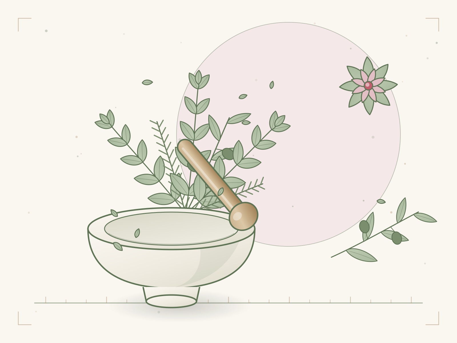 Illustration of a mortar and pestle with herb sprigs rising out of it